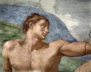 La Creazione di Adamo, dettaglio della testa di Adamo, 1508-12